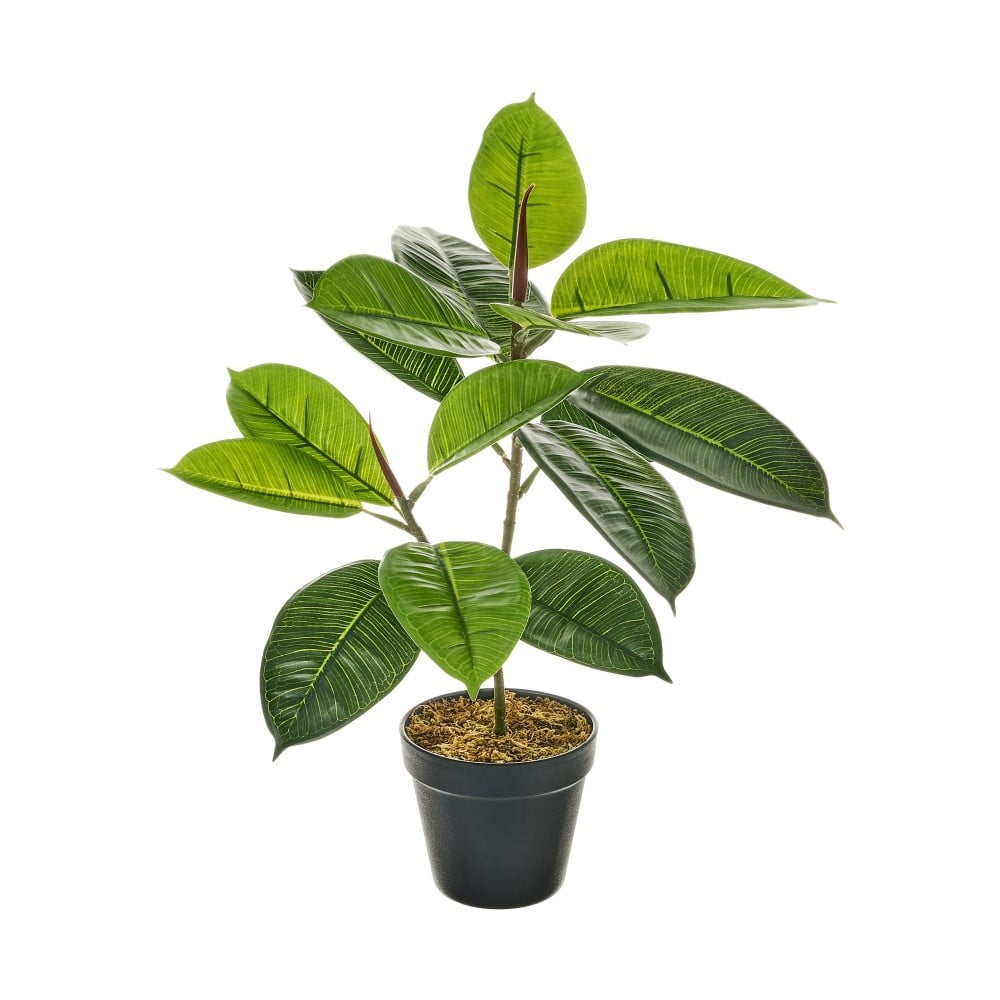 Plantă artificială ficus – casa selección