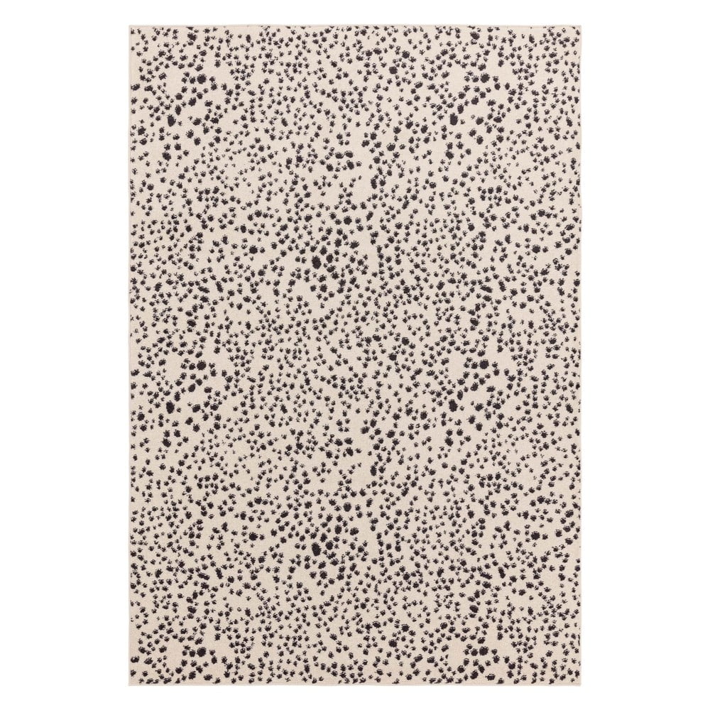 Covor negru-alb 200x290 cm Muse – Asiatic Carpets