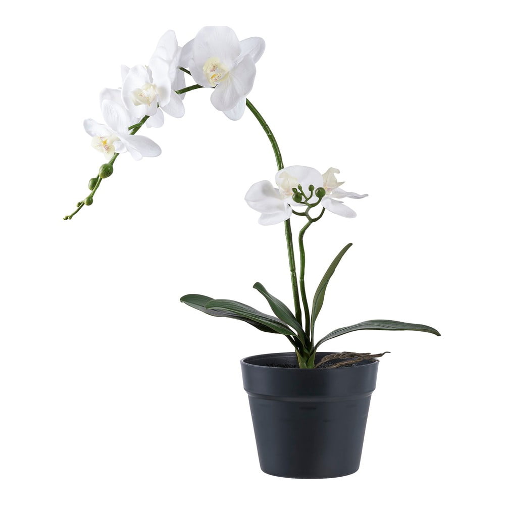 Plantă artificială (înălțime 47 cm) Orchid – House Nordic