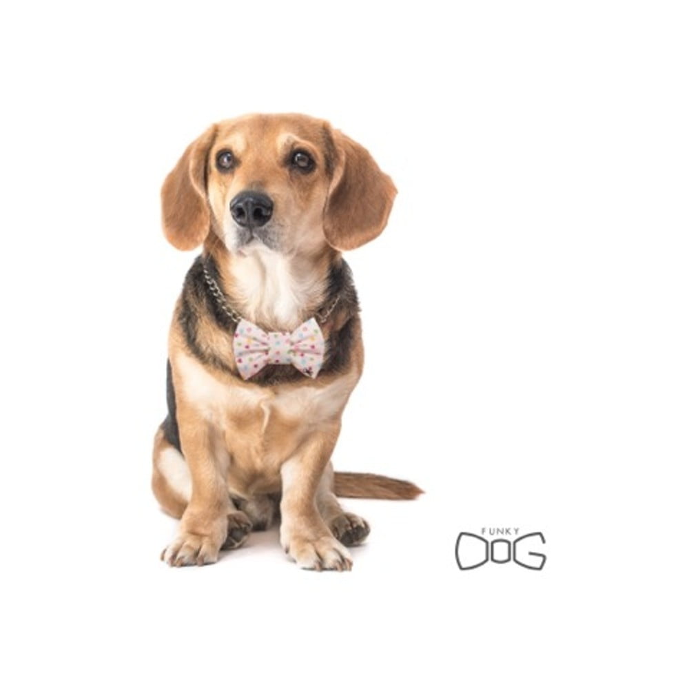 Papion cu inimioare, Funky Dog Bow Ties, accesoriu pentru